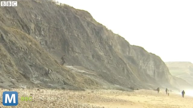 Storms Bring Fossil Seekers to England’s Jurassic Coast