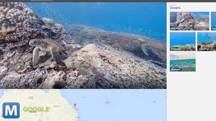 Google Street View Dives Into the World’s Coral Reefs