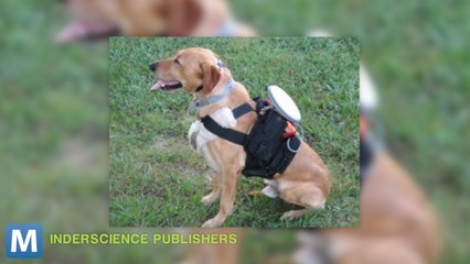 Canine Remote Gives Dog Owners Control From the Couch