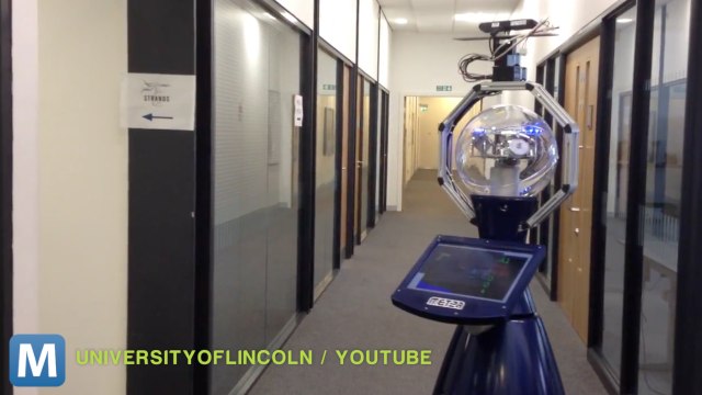 UK Researchers Plan to Create Robots Which Learn From Experience