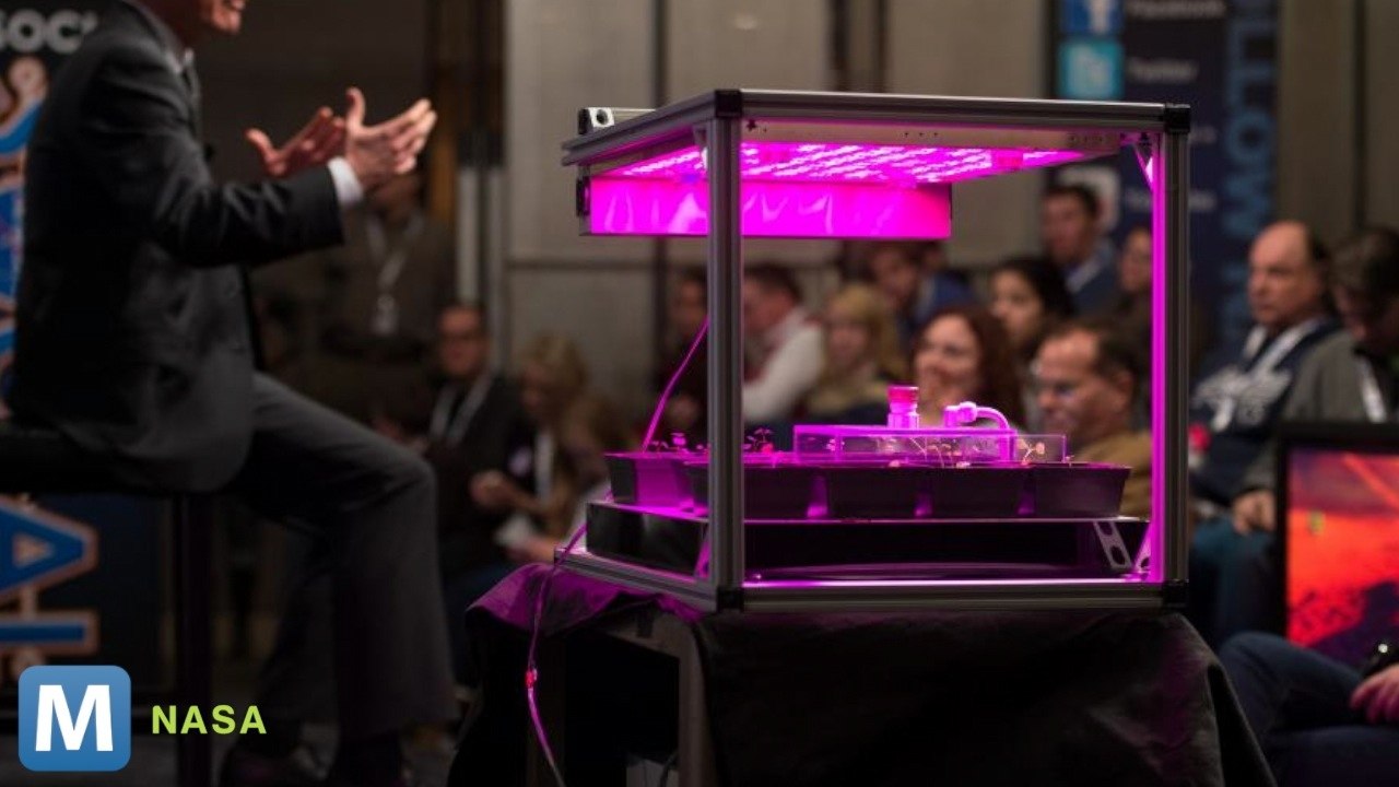 NASA Will Test Farming Vegetables in Zero Gravity