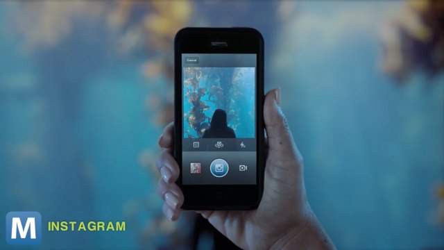 Apple Acquires Personal-Assistant App 'Cue' and Other News You Need to Know