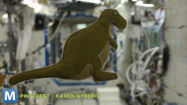 Pinterest-Savvy Astronaut Sews Toy Aboard the ISS