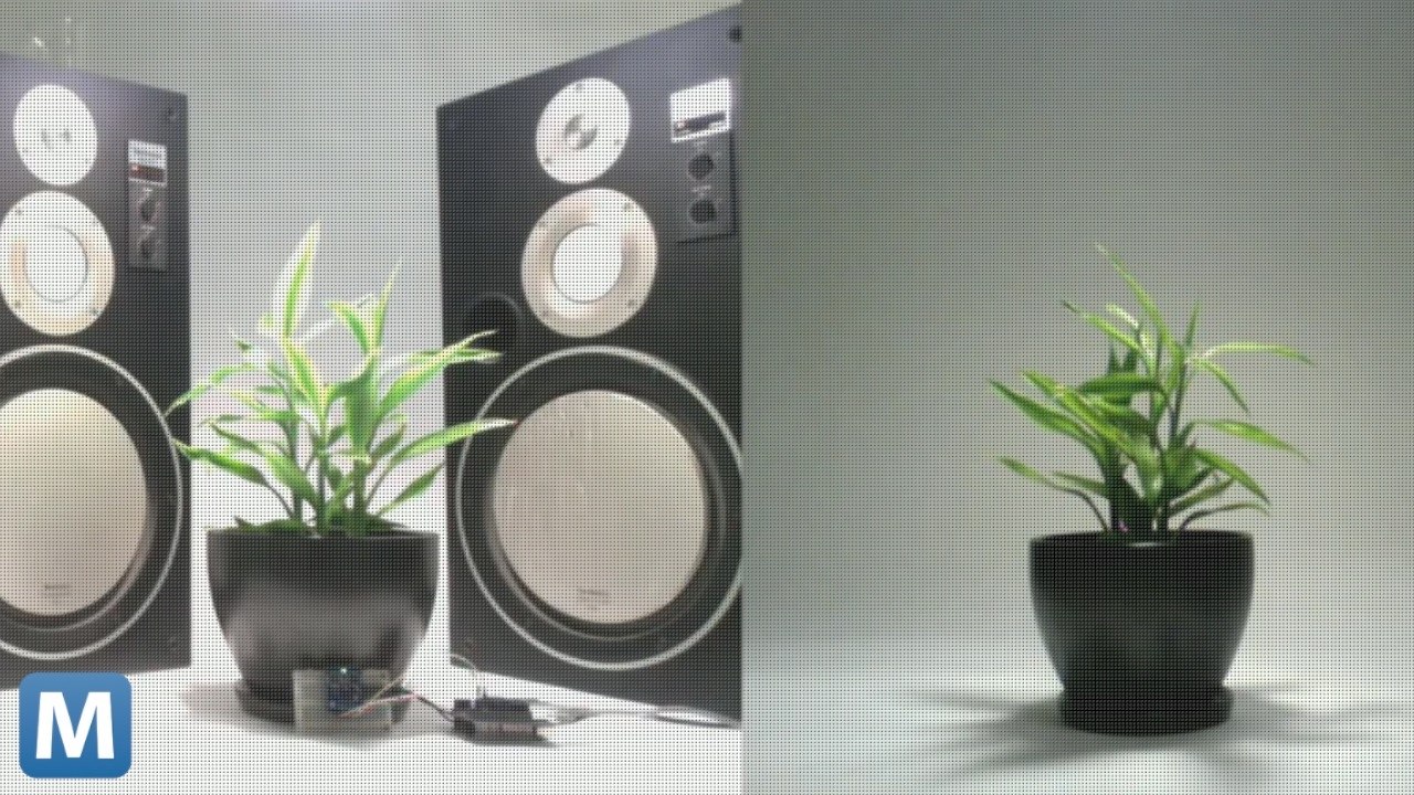 Exhibition Uses Tweets to Test If Talking to Plants Helps Growth