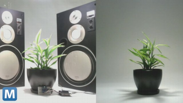 Exhibition Uses Tweets to Test If Talking to Plants Helps Growth