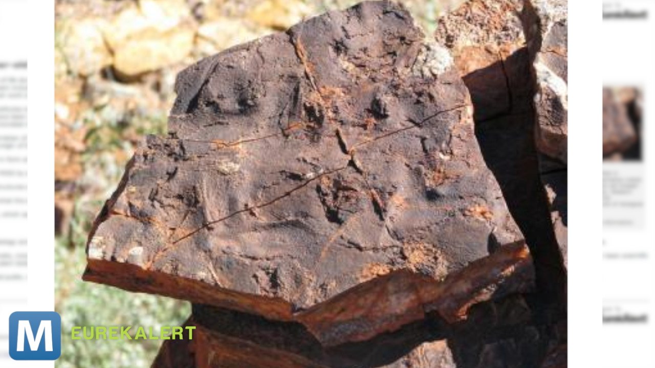 Scientists Believe They’ve Found Earliest Life Forms Yet