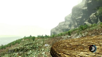 The Forest la survie avant tout épisode 4