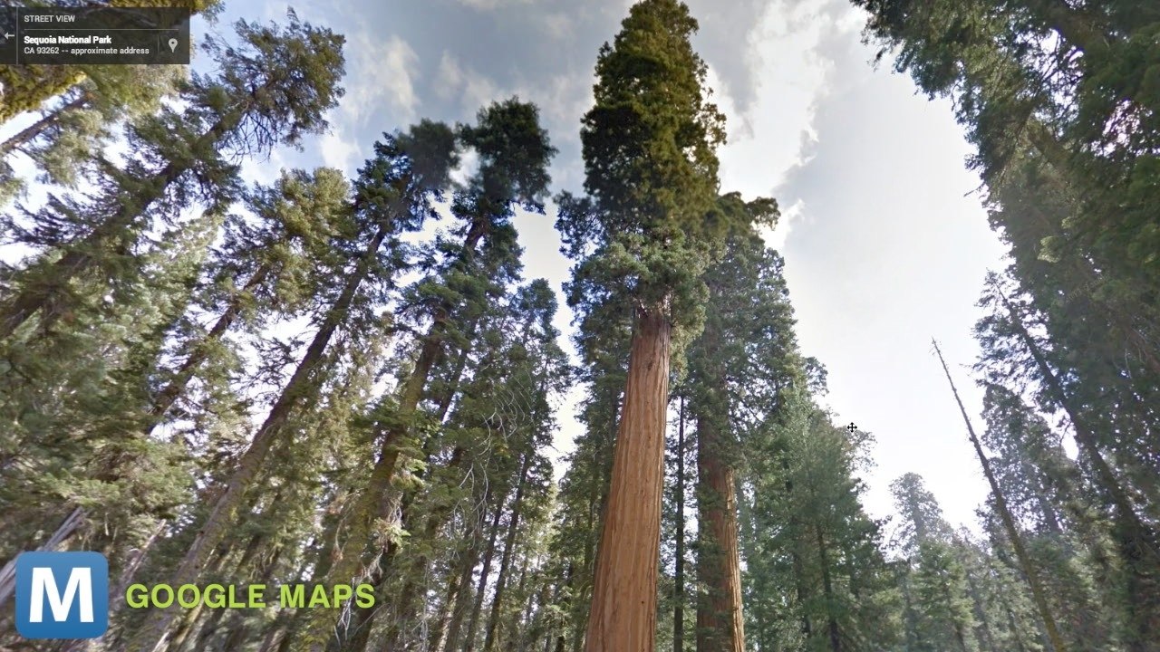 US, Canadian National Parks Added to Google Maps Street View Tours