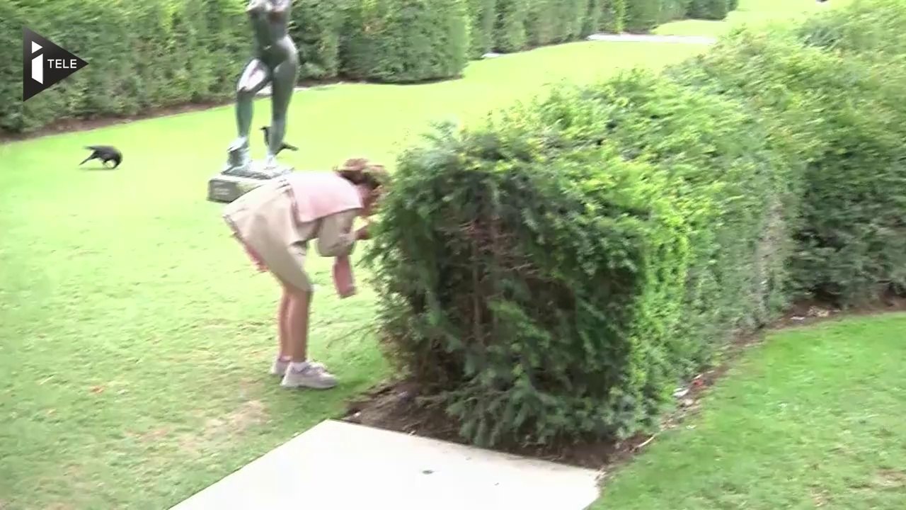 Les rats s'invitent dans les jardins du musée du Louvre