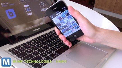 Bump, Flock Shutdown Brief