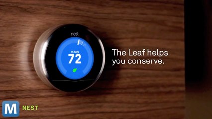 Google's Nest Acquisition Brief