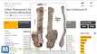 Scientists Find Fossils From a 60-Foot Sauropod