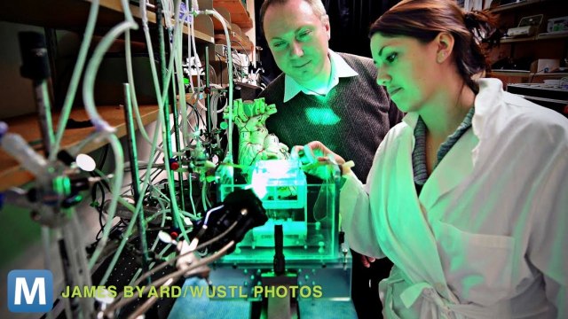 This 3D printed Device Could Predict Heart Attacks