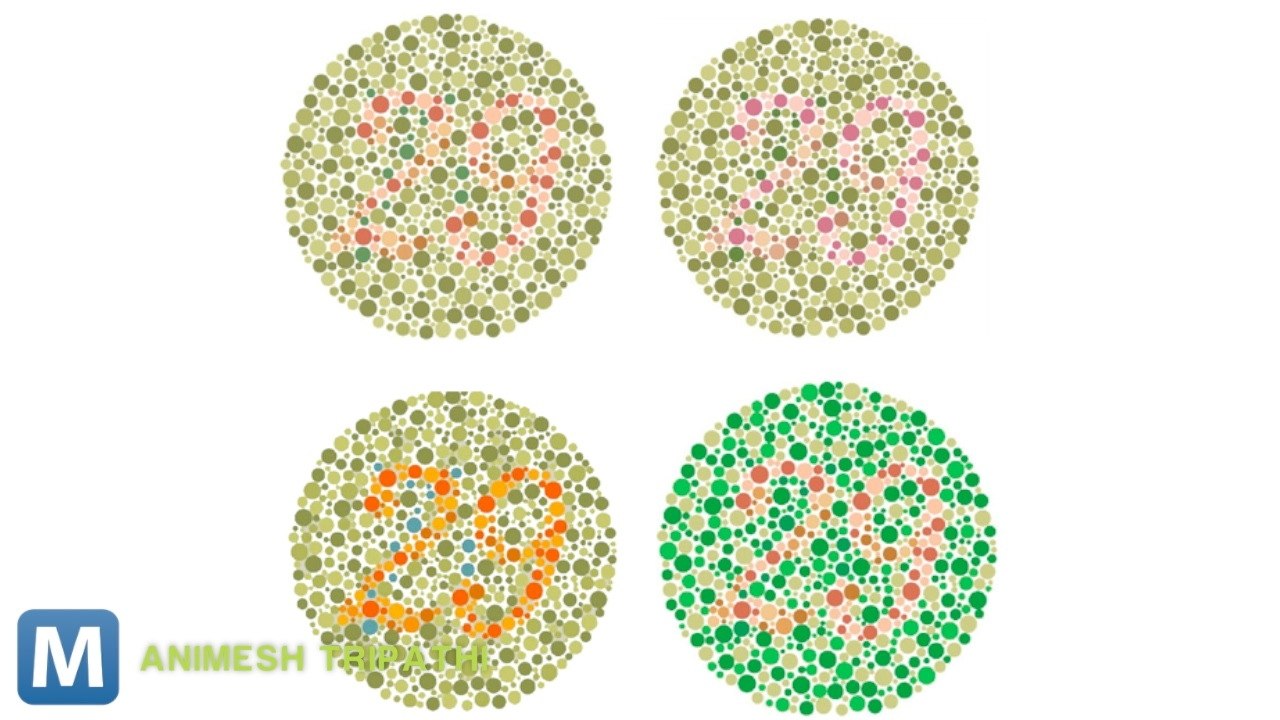 High School Student Has Sights On Helping Color Blind People Experience the Web
