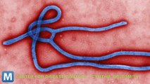 African Ebola Outbreak Spreads to Mali