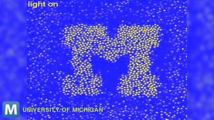 Researchers Create Material That Can Change Color, Shape