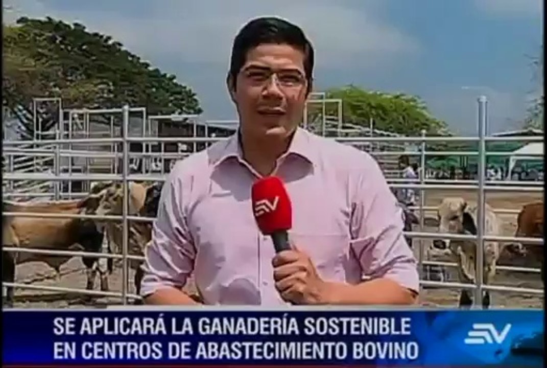 Centros de abastecimiento bovino