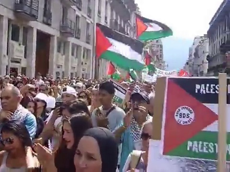 Appel de Gaza en direct • Manifestation Palestine samedi 26 juillet 2014 Grenoble