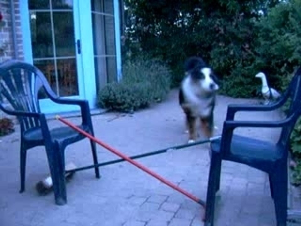 EIKO en saut