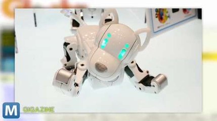 i-SODOG, Your New, Robotic Best Friend