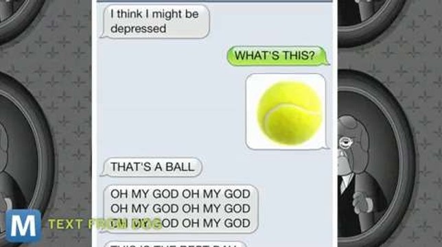 Tumblrs Examine What Life Would Be Life If Pets Could Text Back