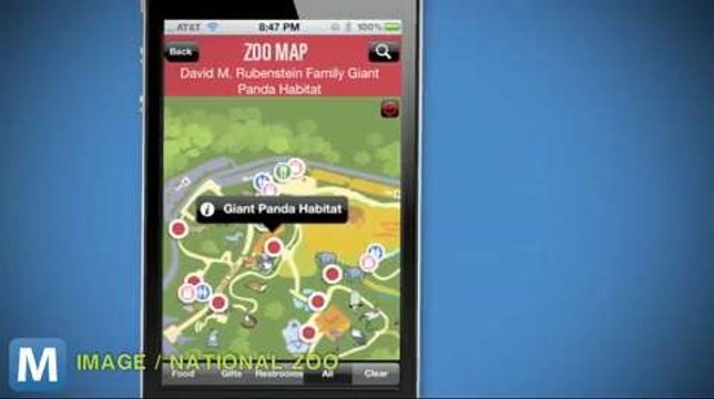 National Zoo App Streams Live Videos of Animals to Your Phone