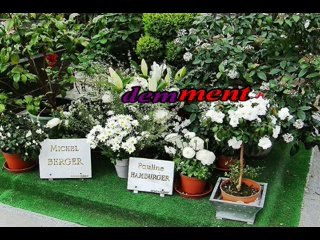 Karaoké - France Gall - Evidemment