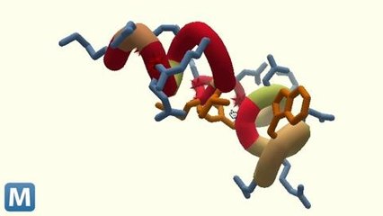 DARPA Uses Science Game Foldit to Find Blood Infection Treatments