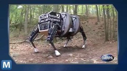 DARPA’s Pack Mule Robot to Haul Soldiers’ Gear