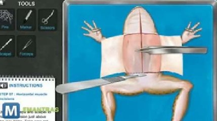 PETA Offers Virtual Frog Dissection Software for Free in India