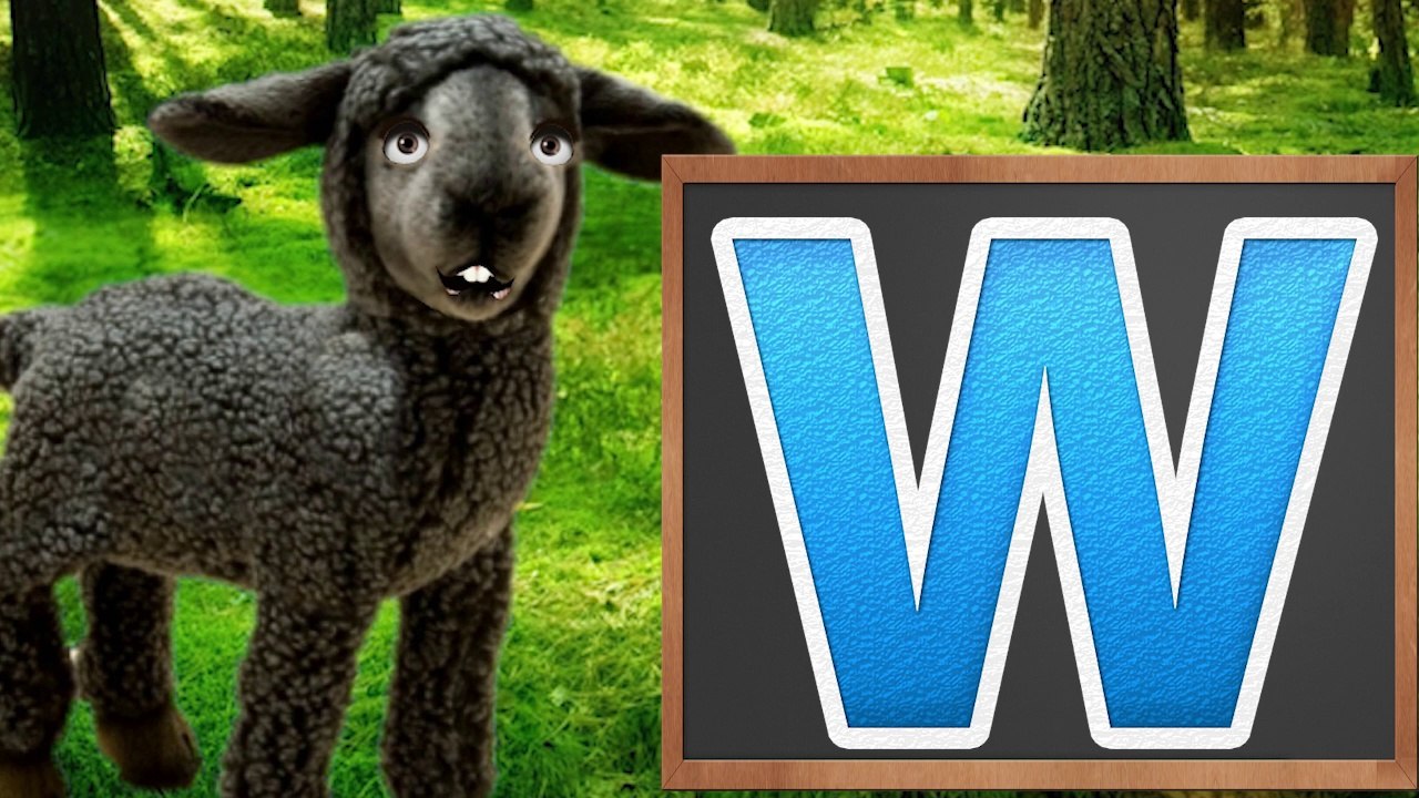 ABC Alphabet Song Alphabet Songs Phonics Song  ABC Songs for Nursery Kids