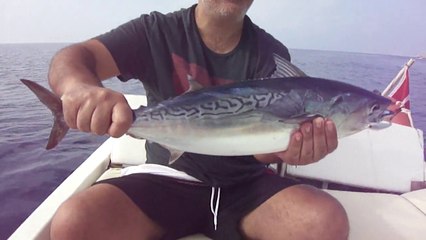 EN BUYUK BALIK AVLARI 4 KG ORKINOS OLDU - www.adrasanbalik.com