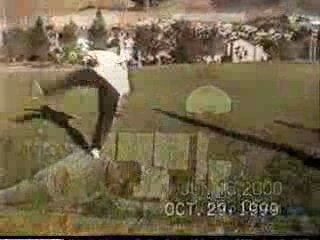 Martial Arts Taekwondo & Capoira