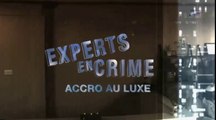 experts en crime[accro au luxe]
