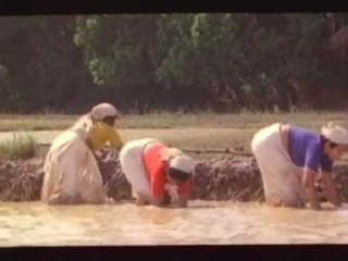 Chakara Pavin Malayalam song - Ponthanmada