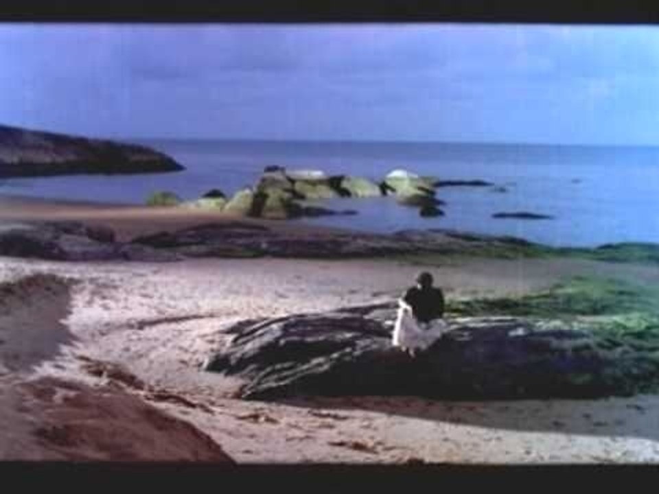 Neerpalungukal malayalam song - Godfather