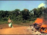 Theduvathethoru Devapadam - Vaishali - Malayalam Movie Songs