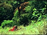 Indra Neelimayolam - Vaishali - Malayalam Movie Songs