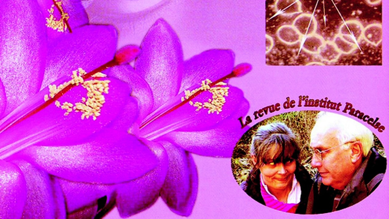 L’alchimie de la Vie - Dr Alain Scohy chez Debowska Productions : www.debowska.fr