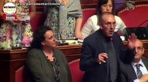 Petrocelli (M5S): 