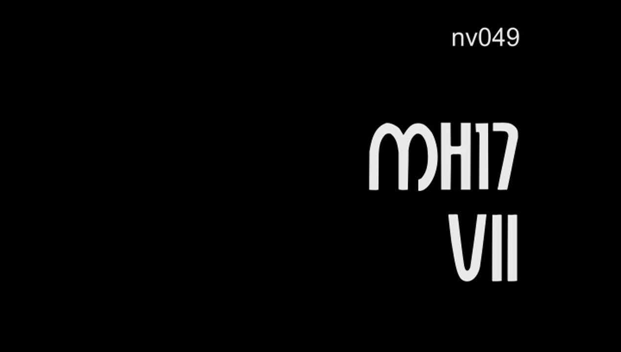 nv049 MH17 VII