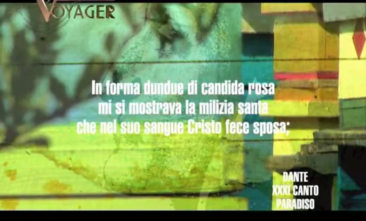Voyager - 30 - La profezia delle api