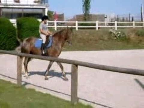 bambou et moi au haras