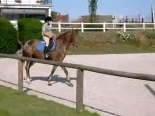 bambou et moi au haras