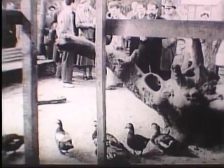 Eleanor Roosevelt in Montpellier, France