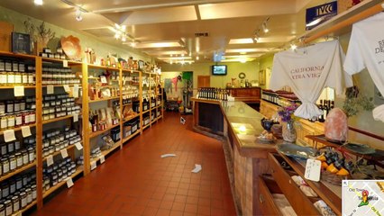 Inside Streetview for Businesses: Sharing your business with the world