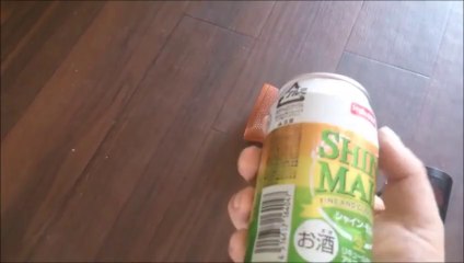 タナカ　44マグナム　コルト　パイソン　6インチ　クロームモデル　ペガサスシステム