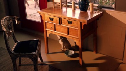 The Dead Inside - Official Trailer