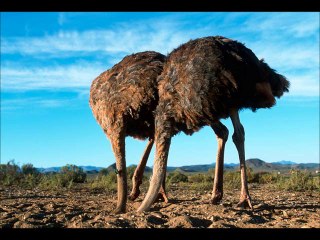 Crisis Mode (remix) by The Electric Trunk