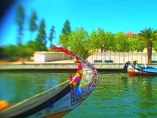 CINEPHONE 2014: A GEOGRAFIA E ALGUM LUGAR